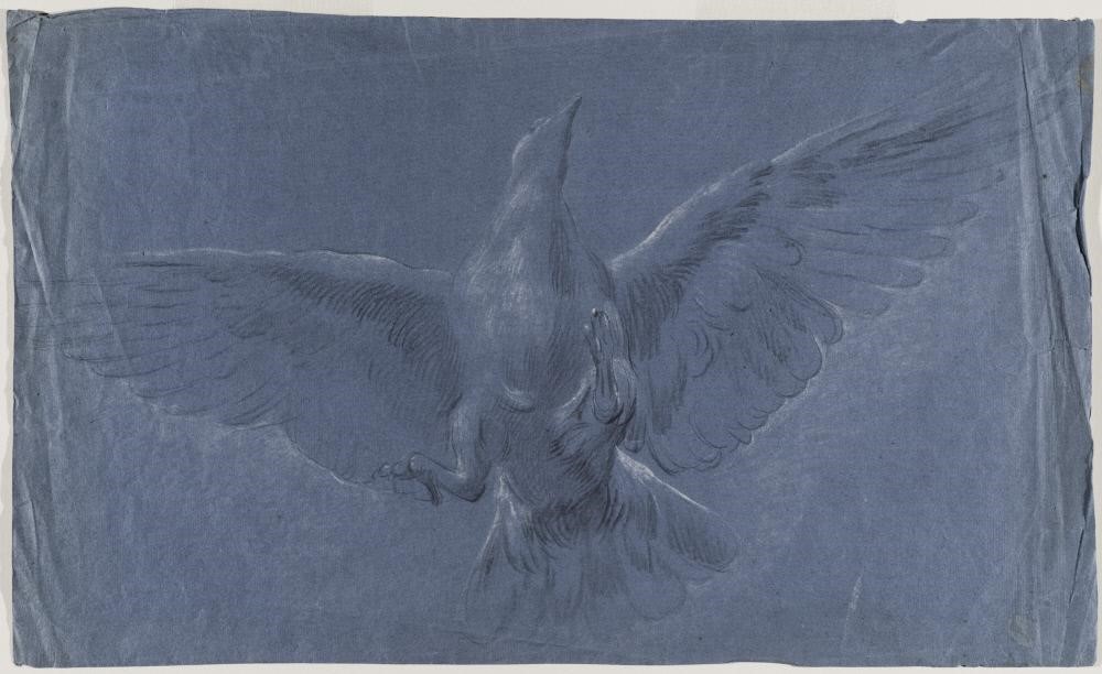 Francisco Bayeu y Subías, Cartoon Study for Fresco in Saragossa Cathedral: Bird in Flight (The Holy Spirit), 1772-1780. Gift of Baroness von Pantz, 1972.